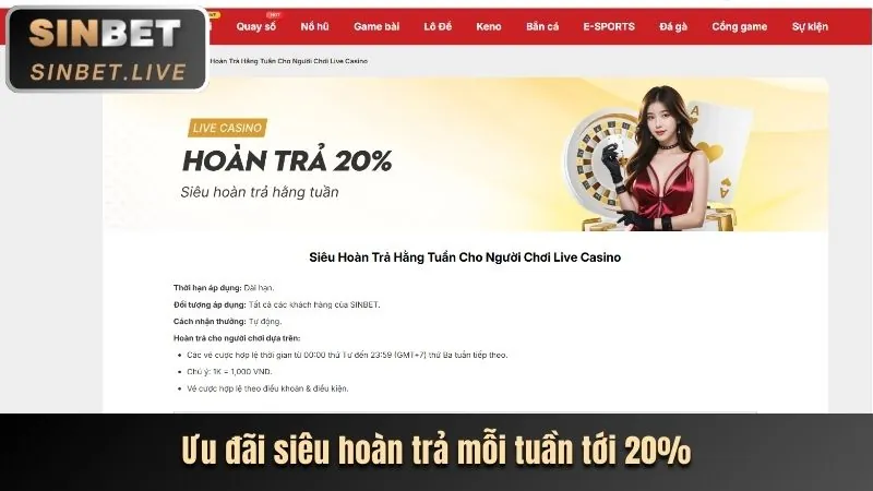 Chương trình VIP đẳng cấp